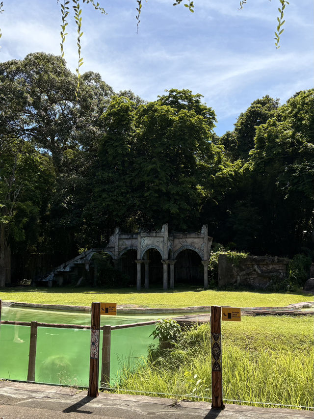 Seharian main di taman safari Bali 🐘🐅 Seharian main di taman safari Bali 🐘🐅