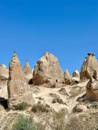 반나절로 다니기 좋은 투어