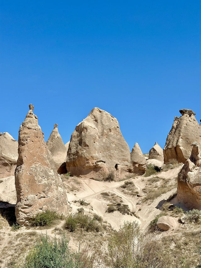 반나절로 다니기 좋은 투어