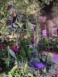 Artful Landscapes at KL Park Festival 2025