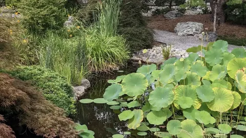Norfolk Botanical Garden — traveler post in 노퍽