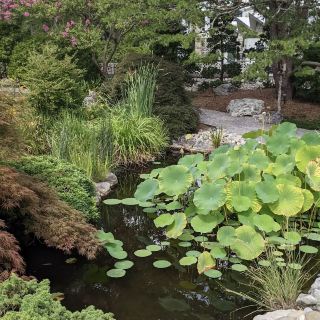 Norfolk Botanical Garden