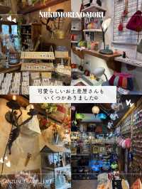 【静岡】ぬくもりの森へ行ってみた🌳