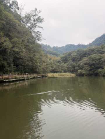 Ancient Beauty Awaits🏯