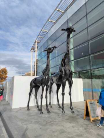 Central Edinburgh: A Tapestry of Stone, Story, and Soul