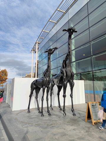 Central Edinburgh: A Tapestry of Stone, Story, and Soul Central Edinburgh: A Tapestry of Stone, Story, and Soul