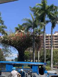 Food and Culture in Manila 🤩