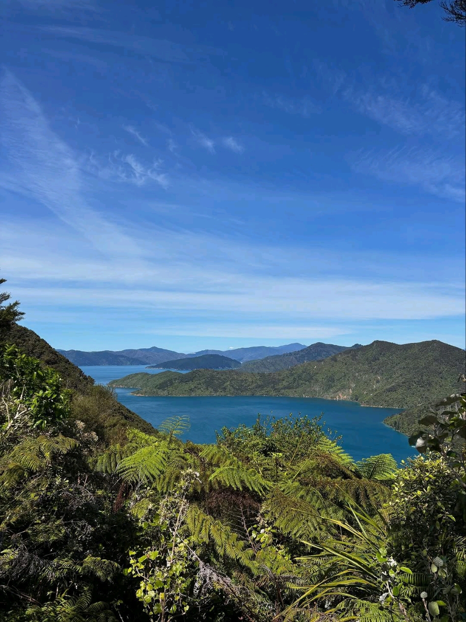 Sailing into Serenity at Queen Charlotte Sound