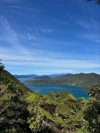 航行於皇后夏洛特海灣的寧靜之中