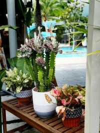 🎉 Fun Times Await at Amigo Clubhouse! 😄