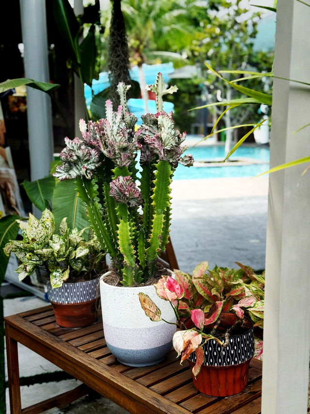 🎉 Fun Times Await at Amigo Clubhouse! 😄