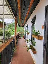 Chillin’ at Gao House & Coffee: Your Cozy Stay in Sapa 🌿✨