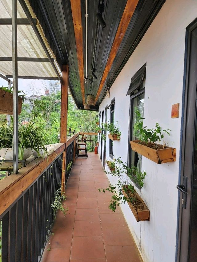 Chillin’ at Gao House & Coffee: Your Cozy Stay in Sapa 🌿✨ Chillin’ at Gao House & Coffee: Your Cozy Stay in Sapa 🌿✨