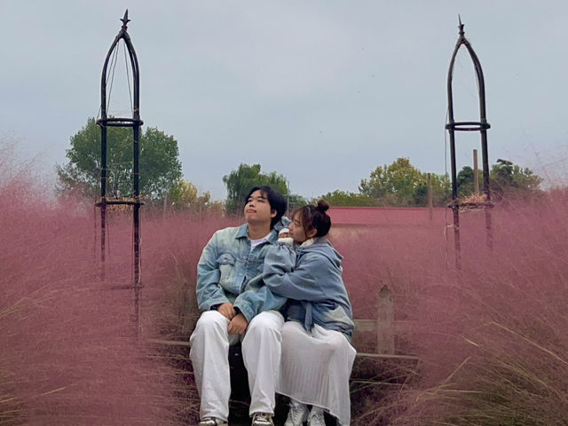 ํํฌ๋ฎฌ๋ฆฌ์์ ์ธ์์ท ๊ฐ๋ฅ!! ํํ ์ฌ์ง๋ช
์, ์์์ถ์ฒ!! ํํฌ๋ฎฌ๋ฆฌ์์ ์ธ์์ท ๊ฐ๋ฅ!! ํํ ์ฌ์ง๋ช
์, ์์์ถ์ฒ!!