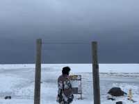 🌌✨ A NIGHT OF MAGIC AT SKÓGAFOSS & A LEGENDARY WALK TO SOLHEIMASANDUR ✈️🖤