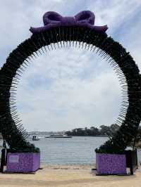 天然湖泊靜謐之美賞心樂事