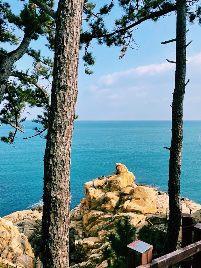 韓國🇰🇷大王岩公園 韓國🇰🇷大王岩公園