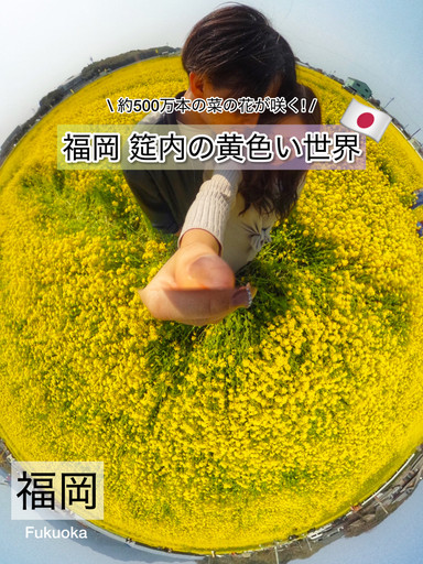 福岡・古賀】黄色い絨毯に感動！筵内の菜の花畑が今、見頃です | Trip
