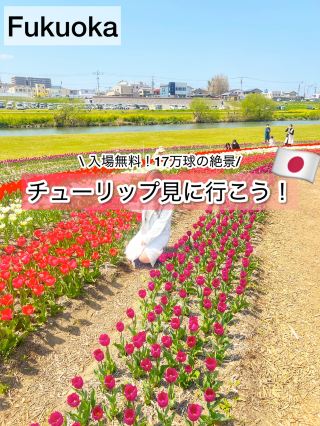 【福岡】入場無料！17万球の絶景と桜が同時に楽しめる「のおがたチューリップフェア2026」 