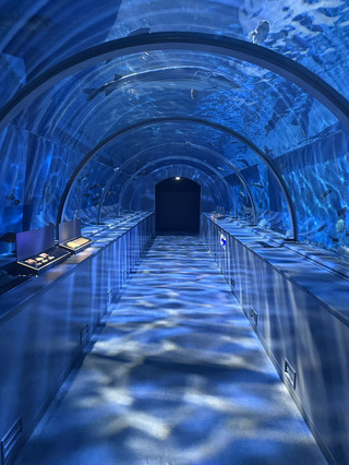 登別，城堡與海豚🐬