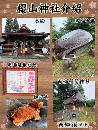 盛岡櫻山神社：岩手縣隱世靈場、城跡御守與「長壽院龜之助」嘅奇妙散策 ⛩️✨