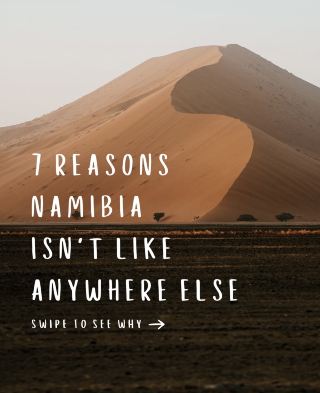 ナミビアがまるで別世界のように感じられる7つの理由🇳🇦🏜️