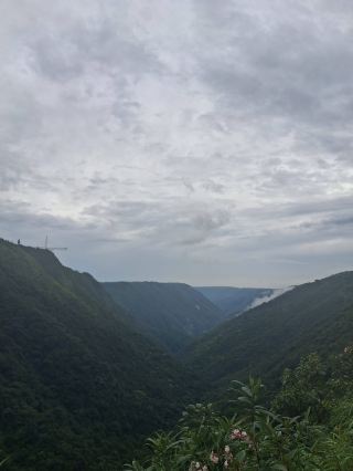 🇮🇳✨ A Sudden Click in Dawki — Nature in a Perfect Frame