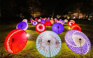 🇯🇵🍁【สวนอนุสรณ์โชวะ】เพลิดเพลินกับทิวทัศน์ฤดูใบไม้ร่วงของถนนที่เรียงรายไปด้วยต้นแปะก๊วย ทั้งกลางวันและกลางคืน ♡