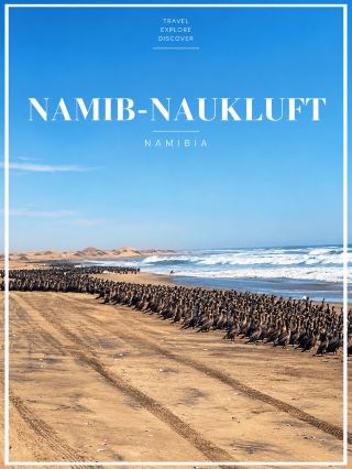 🌊 รีวิว Namib-Naukluft — Namibia 🇳🇦

อีกหนึ่งภาพของนามิเบียที่ทำให้รู้สึกว่า ธรรมชาติที่นี่มีอะไรให้ประหลาดใจตลอดทาง จากพื้นที่ทะเลทรายกว้างใหญ่ กลับมาเจอกับแนวชายฝั่งมหาสมุทรและฝูงนกจำนวนมากอยู่รวมกันริมทะเล เป็นภาพที่แปลกตาและสวยมาก

เสน่ห์ของเส้นทางนี้คือความแตกต่างของภูมิประเทศ ด้านหนึ่งเป็นผืนทรายแห้งแล้งสุดสายตา อีกด้านเป็นมหาสมุทรที่มีคลื่นซัดเข้าหาฝั่งตลอดเวลา 🌊🏜️ พอมีฝูงนกนับไม่ถ้วนเรียงรายอยู่ตามชายหาด ยิ่งทำให้วิวตรงหน้าดูมีชีวิตขึ้นมาทันที

การเดินทางแถวนี้ให้ความรู้สึกเหมือนกำลังออกสำรวจมากกว่าเที่ยวสถานที่ทั่วไป ถนนและเส้นทางบางช่วงรายล้อมด้วยพื้นที่โล่งกว้าง ไม่มีตึกสูงหรือความวุ่นวาย มีแค่ทะเล ทราย ลม และสัตว์ป่า เป็นอีกบรรยากาศที่ทำให้นามิเบียมีเอกลักษณ์มาก

📍 Namib-Naukluft, Namibia 🇳🇦
🏜️ ไฮไลต์: ภูมิประเทศทะเลทรายอันกว้างใหญ่
🌊 ความพิเศษ: วิวทะเลทรายตัดกับมหาสมุทร
🐦 เหมาะกับ: คนรักธรรมชาติ สัตว์ป่า และการถ่ายภาพ
📸 ระหว่างทางมีวิวสวย ๆ ให้หยุดเก็บภาพตลอด

สำหรับเรา นี่เป็นหนึ่งในช่วงของทริปที่ทำให้รู้สึกว่า นามิเบียไม่ได้มีดีแค่เนินทราย แต่ทุกเส้นทางมีธรรมชาติในแบบของตัวเองให้ค้นพบ 🤎

#NamibNaukluft #Namibia #NamibiaTravel #เที่ยวนามิเบีย #เที่ยวแอฟริกา #AfricaTrip #RoadTripNamibia #NatureTravel #เที่ยวธรรมชาติ