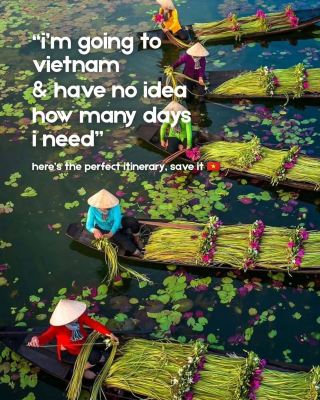 다음 베트남 여행을 위한 완벽 일정 정리! 🇻🇳