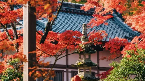日本の紅葉シーズン、待ちきれない！絶景スポットをまとめて紹介 — traveler post in 大阪
