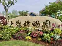 花影醉心：漫步上海植物園的悠然時光