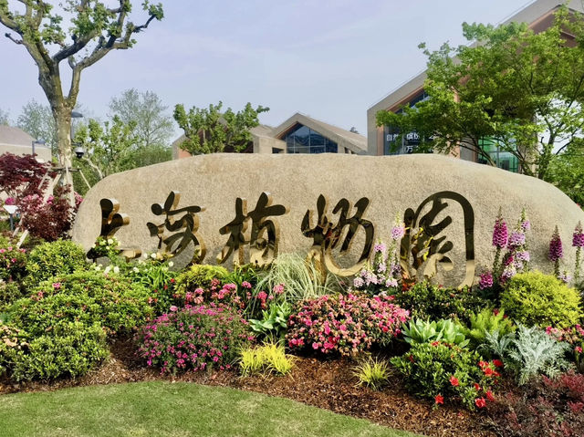 花影醉心：漫步上海植物園的悠然時光