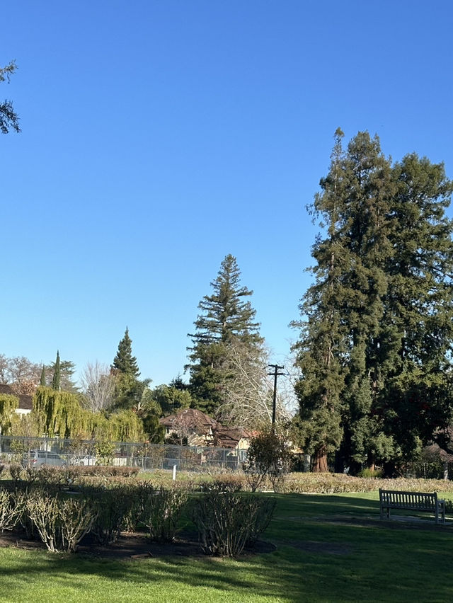 加利福尼亞聖荷西市立玫瑰花園