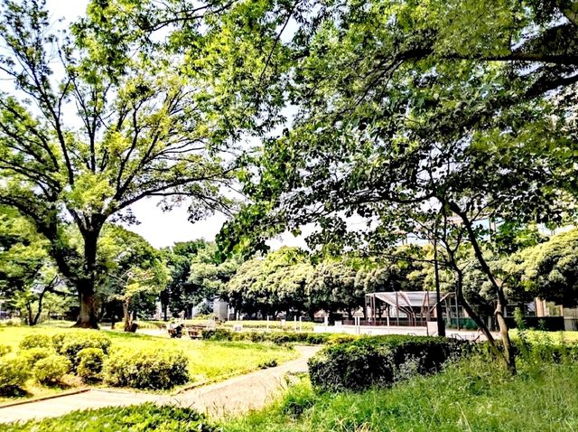 駒澤奧林匹克公園