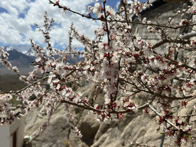Lost in time, eternal monastery surrounded by mountains 