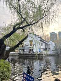 Spring Magic in Shanghai: Best Cherry Blossom Spots You Can’t Miss! 🌸✨