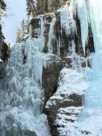 🇨🇦カナダでの冬の過ごし方☃️