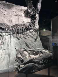 🦕恐竜の聖地！カナダ🇨🇦【ロイヤル・ティレル博物館】