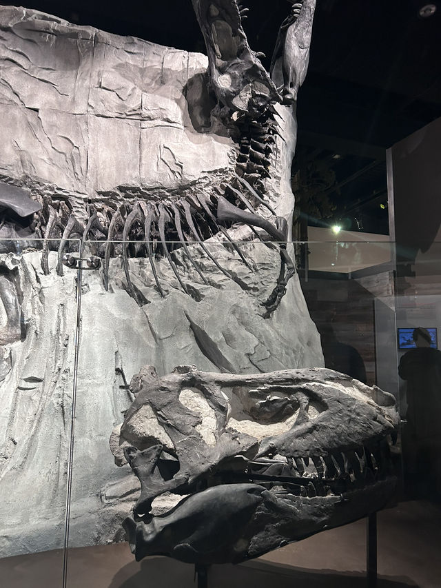 🦕恐竜の聖地！カナダ🇨🇦【ロイヤル・ティレル博物館】