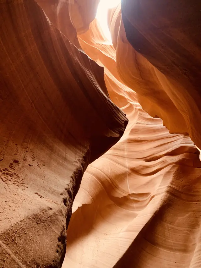 2018年のアメリカ西部ロードトリップの思い出