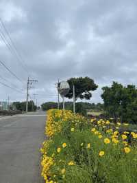 jeju island !!!!