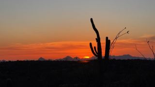 애리조나 하이킹, 사와로 국립공원(Saguaro National Park)을 소개합니다.
