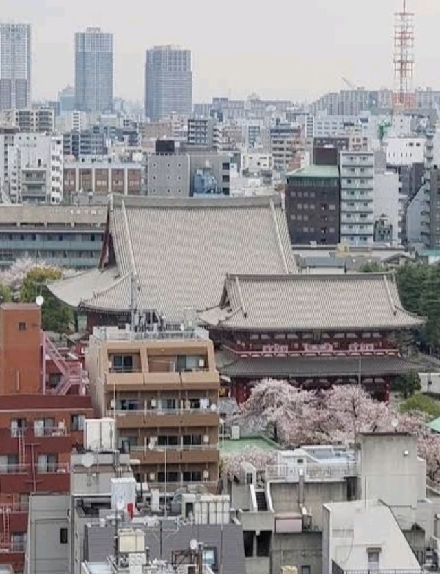 🗼欣賞晴空塔的最佳酒店🗼