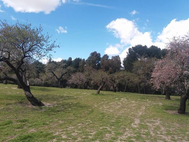 Park de la Quinta de los Molinos 🗺️