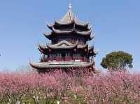 Shanghai Haiwan National Forest Park 🇨🇳