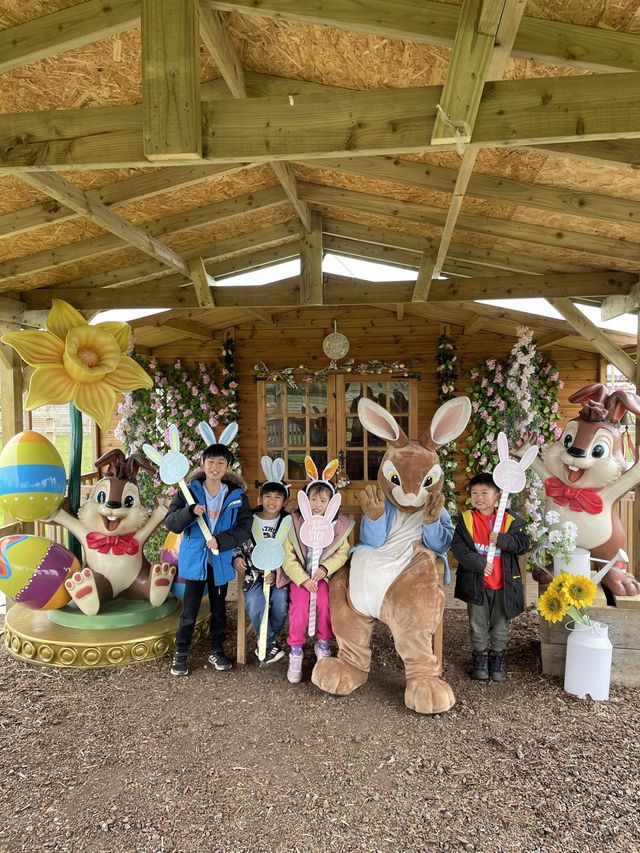 約克超抵玩大型遊樂園