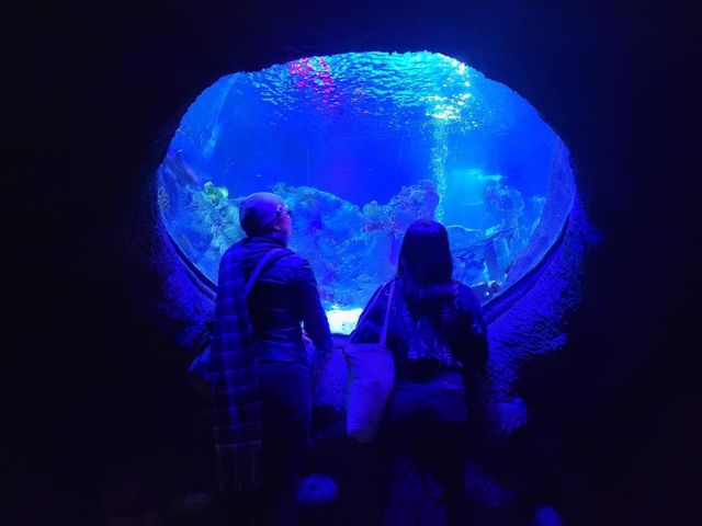 SEA LIFE Loch Lomond Aquarium 🐟