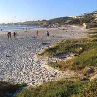 Surf Paradise Muizenberg