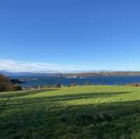 Fairlie moor loop trail